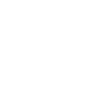 Julius AI logo